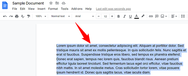 Select the text in a Google Docs document.