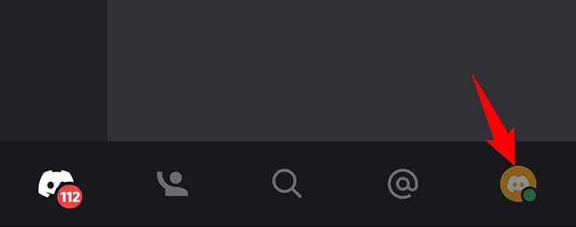 Tap the profile icon at the bottom of Discord.