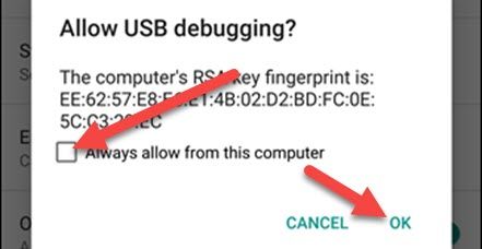 Allow USB debugging.