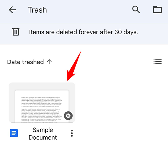 Deleted Google Docs documents.