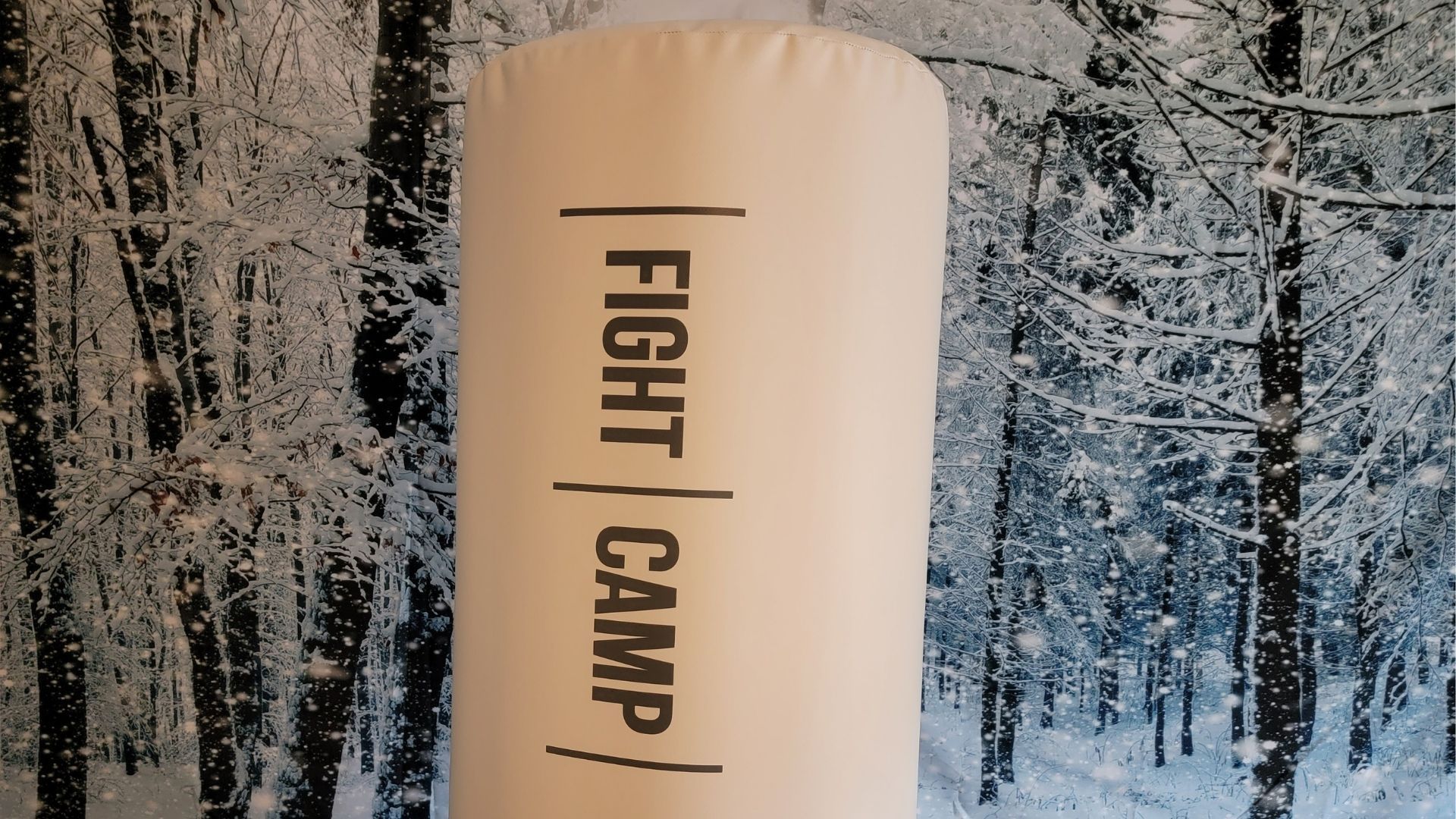 featured image of the fightcamp punching bag up close, focused in on the words fightcamp