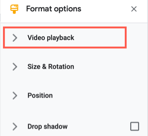 Expand Video Playback
