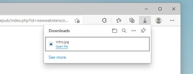 The Downloads list in Microsoft Edge.