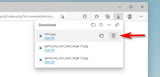 In Edge, click the trash can icon in the Downloads list.