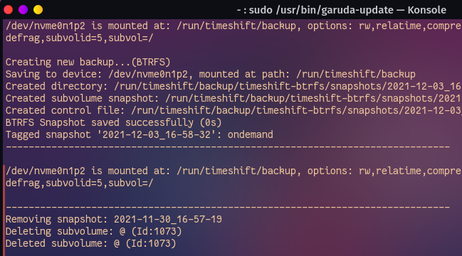 Garuda Linux update readout, showing snapshot backup