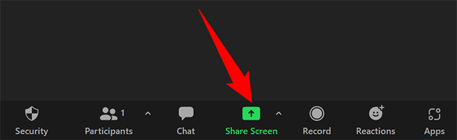 Click "Share Screen" at the bottom.