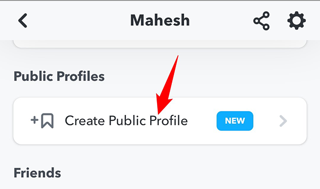 Select "Create Public Profile."