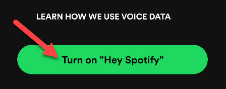 Did You Know Spotify Has a Voice Assistant?