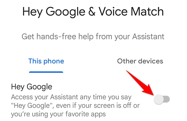 Activate the "Hey Google" option.
