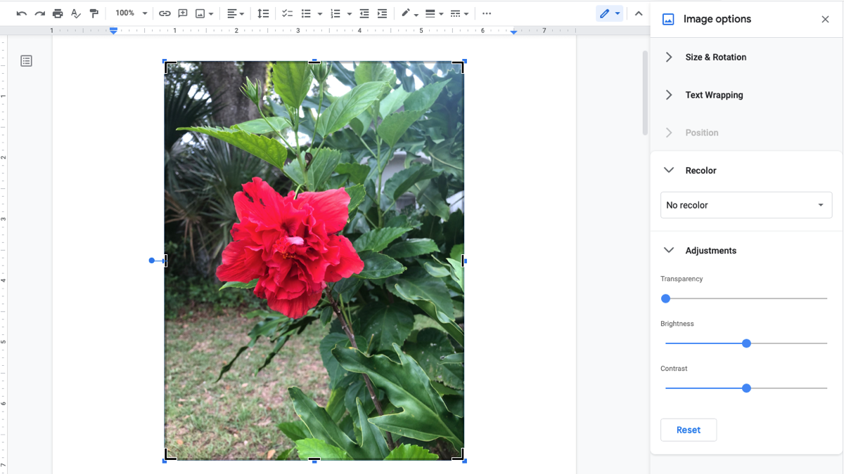 Image editing in Google Docs