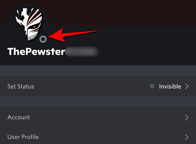 Gray circle next to display picture indicates offline or invisible mode in Discord on mobile.