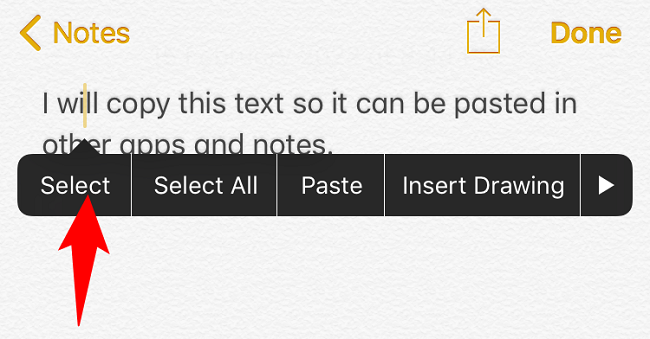 How to Copy and Paste on iPhone
