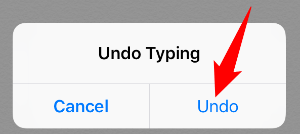 Choose "Undo" in the "Undo Typing" menu.