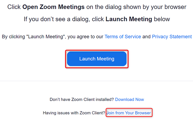 Choose a way to join the Zoom test meeting.