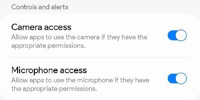 Turn off camera and microphone.