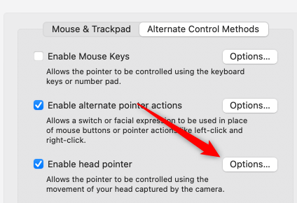 Click Options to enable head pointer.