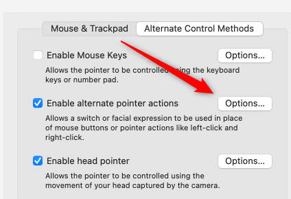 Click Options to enable pointer actions.