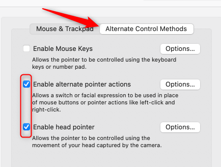Enable the accessibility features.