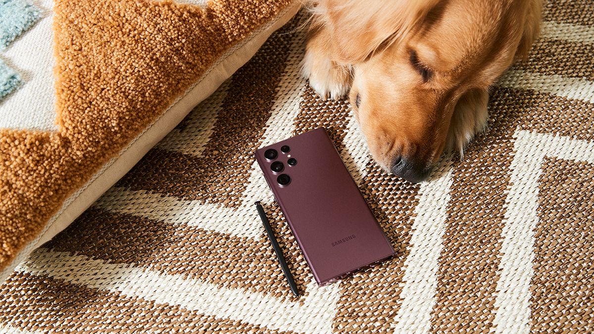 Samsung Galaxy S22 Ultra and a dog