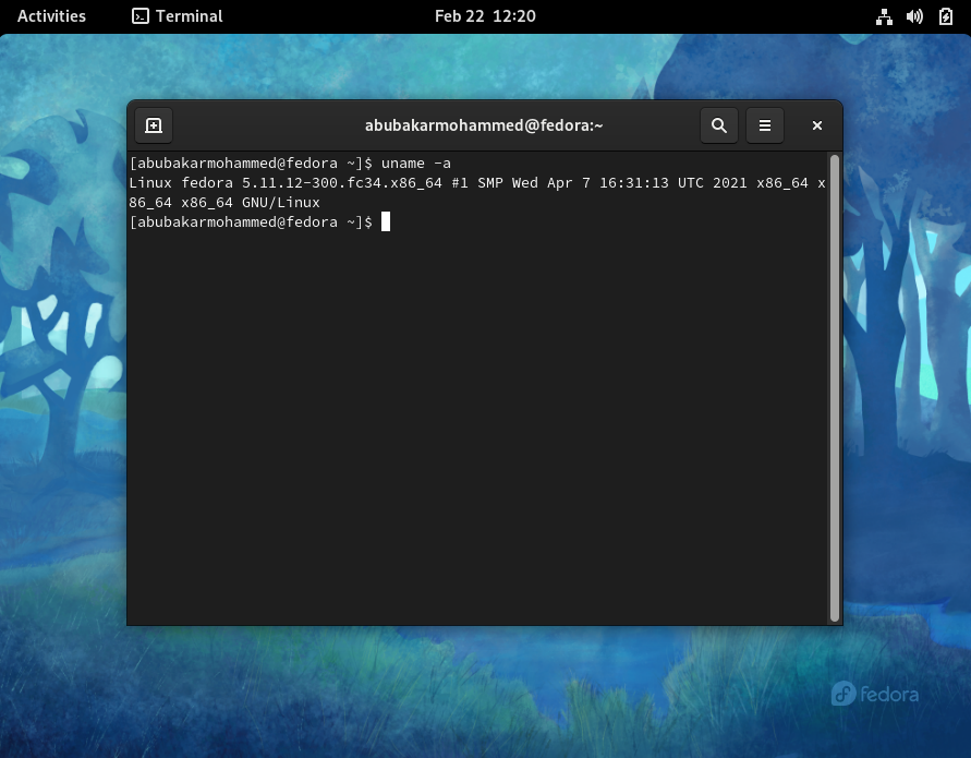 Linux terminal kernel version using uname