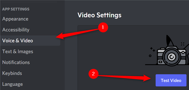 Click "voice and video" and then click "test video."