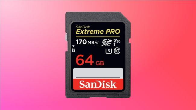 SanDisk SD card on pink background