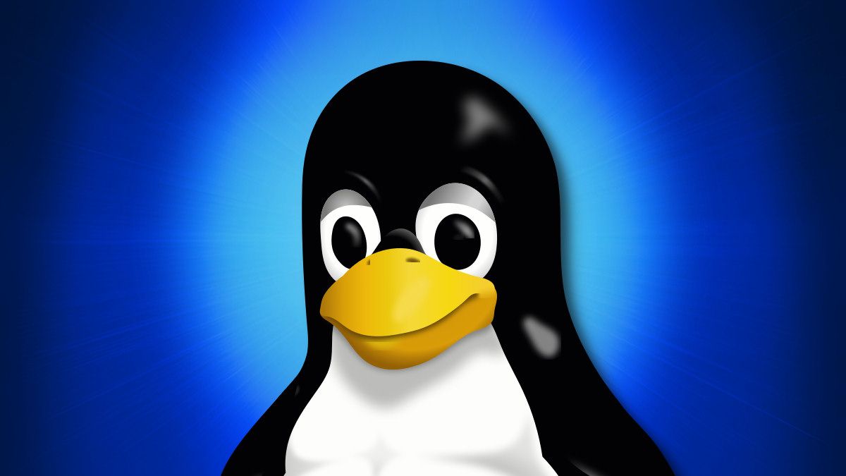 Linux Penguin Mascot Tux up close
