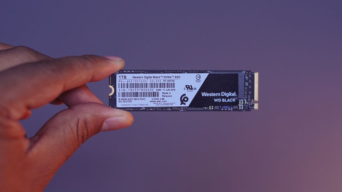 WD NAND SSD in hand