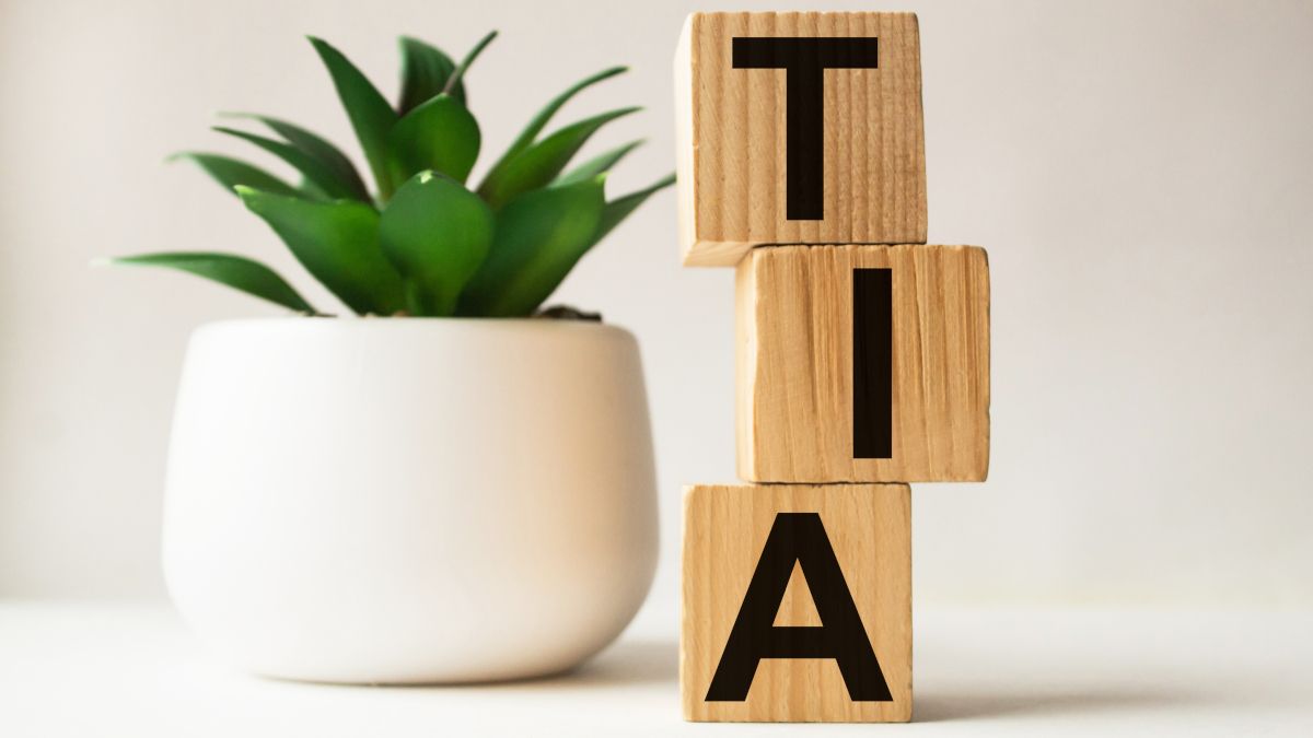 Wooden blocks spelling the letters TIA next to a potted plant.