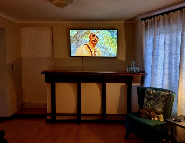 Dedicated Art TV in Living Room