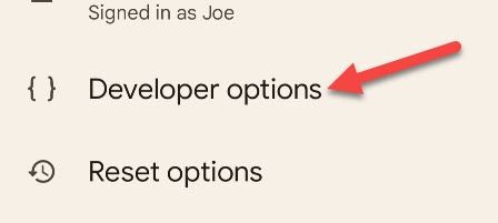 Go to "Developer Options."