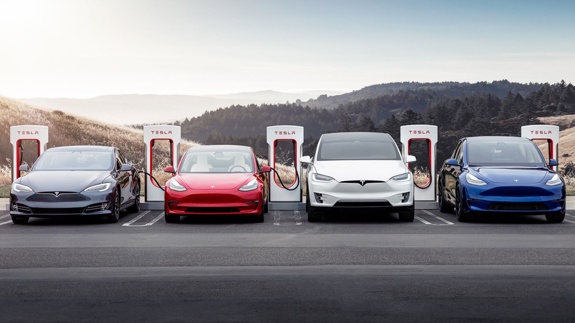 Photograph of four different Tesla models at charging stations.