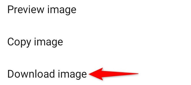 Select "Download Image" from the menu.