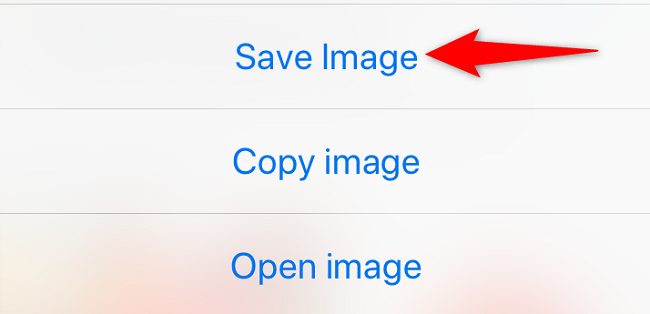 Choose "Save Image" in the menu.