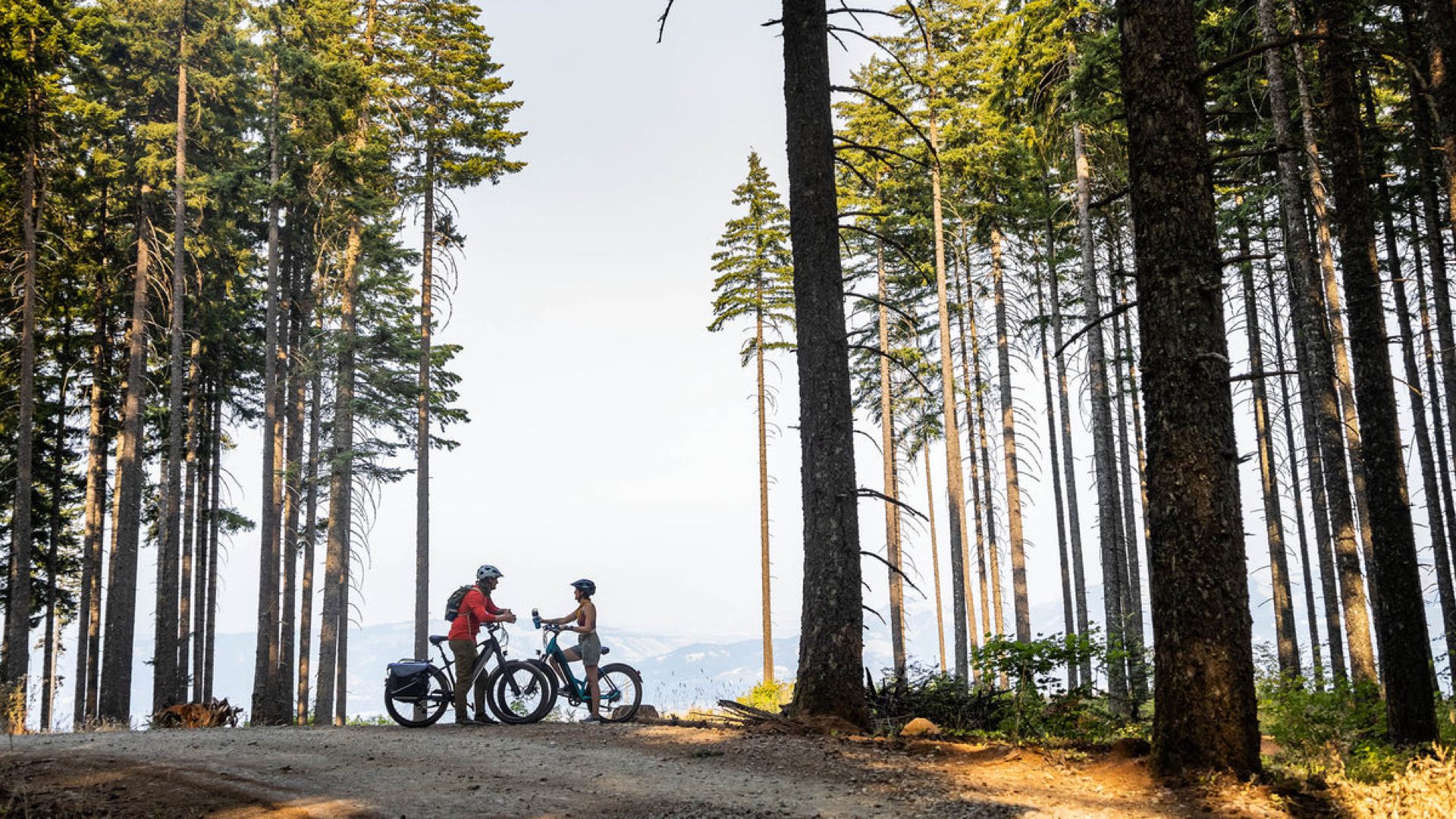 Schwinn bike riders in the mountains