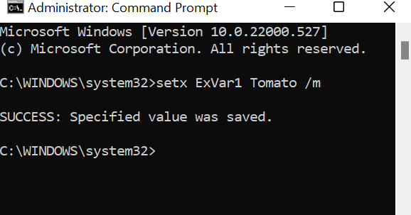 ExVar1 defined in Command Prompt