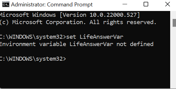A new CMD window with LifeAnswerVar undefined.
