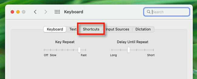 In Keyboard system preferences, click "Shortcuts."