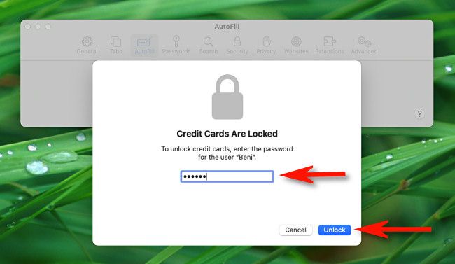 Enter your Mac account password to unlock saved credit cards in Safari.