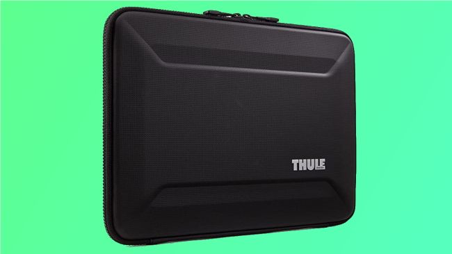 Thule laptop sleeve on green background