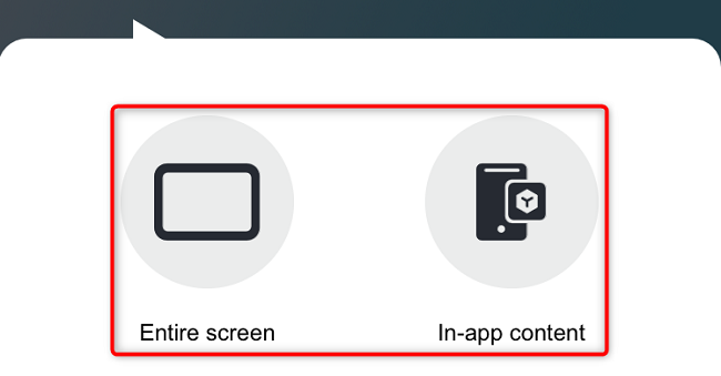 Select "Entire Screen" or