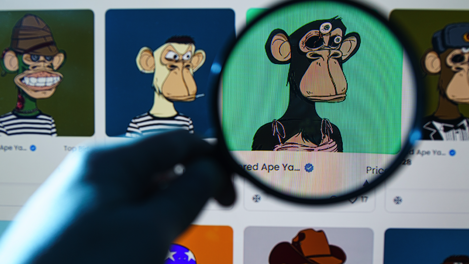 A magnifying glass over a Bored Ape NFT.