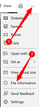 Click on the three dots, then click "File Information."