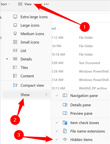 Click "View," then mouse over "Show," then tick "Hidden Items."