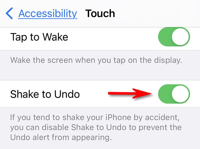 Flip "Shake to Undo" to the on position.