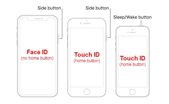 Diagram of iPhones with Face ID or Touch ID