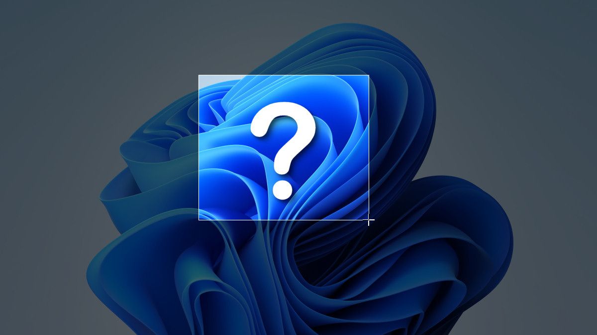 Windows Screenshot Question Mark Mystery