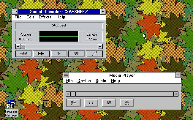 A screenshot of Windows 3.1 multimedia features