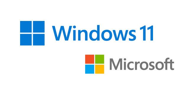 The Windows 11 logo and the Microsoft logo.