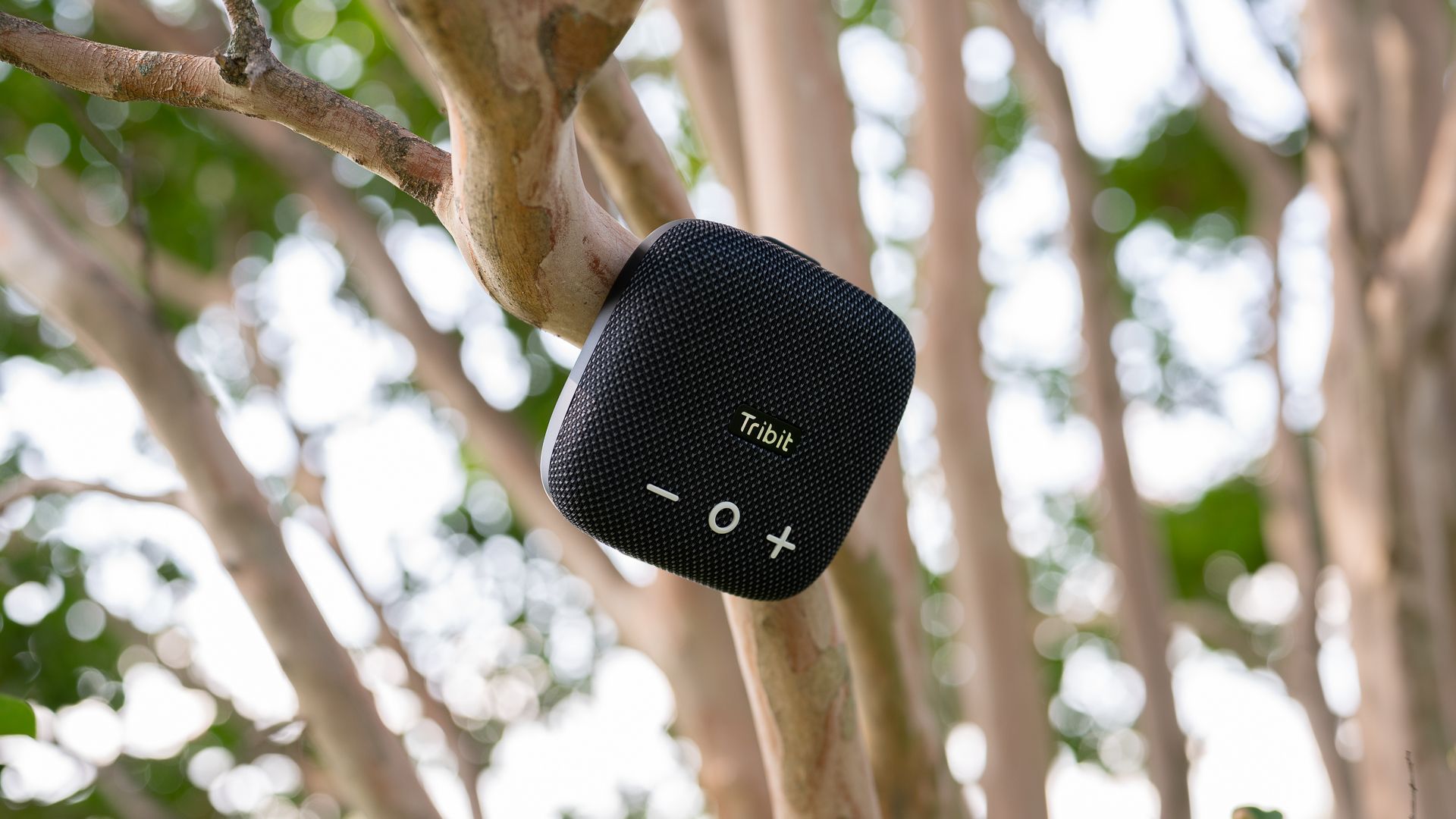 Tribit speaker attached to a tree